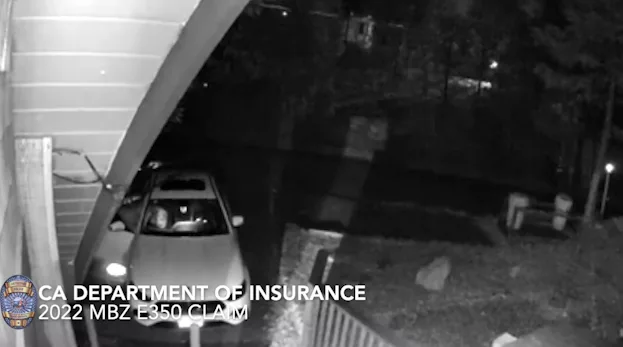 Four California residents arrested after faking a bear attack for insurance payout