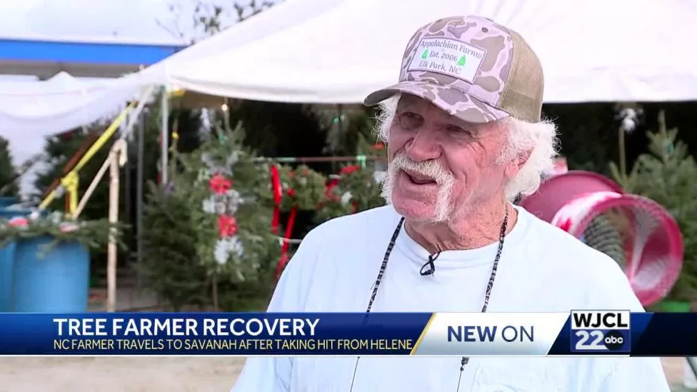 Christmas Tree Farmers Press On After Hurricane Helene’s Devastation