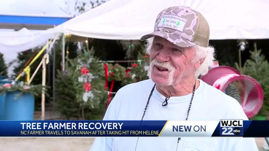 Christmas Tree Farmers Press On After Hurricane Helene’s Devastation