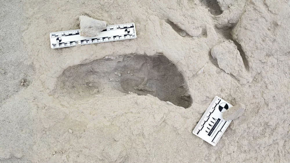 Discovery of fossilized footprints reveals the moment two ancient human species crossed paths