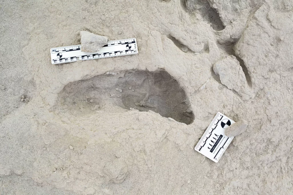 Discovery of fossilized footprints reveals the moment two ancient human species crossed paths