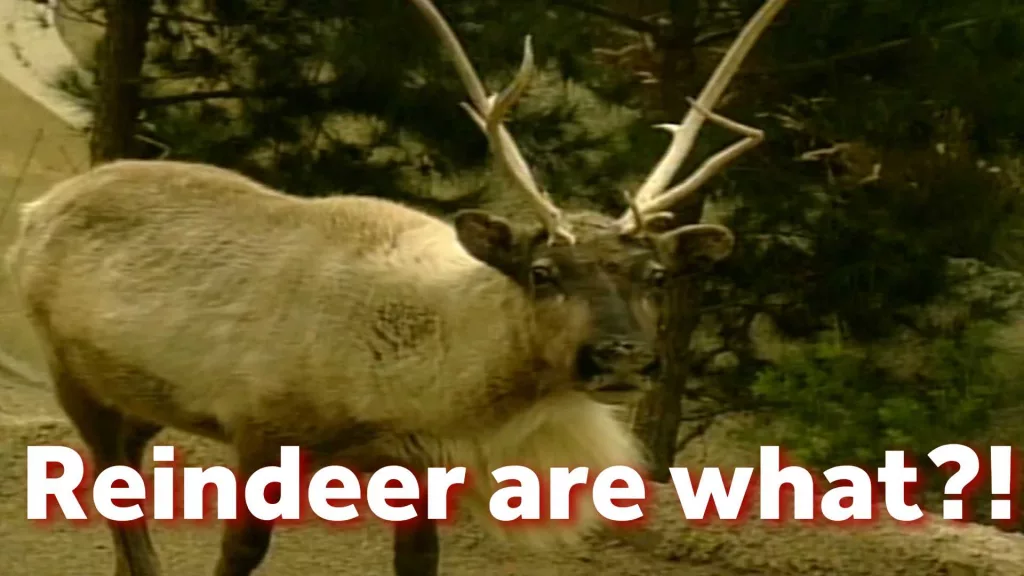 Who really pulls Santa’s sleigh? This retro find reveals the answer