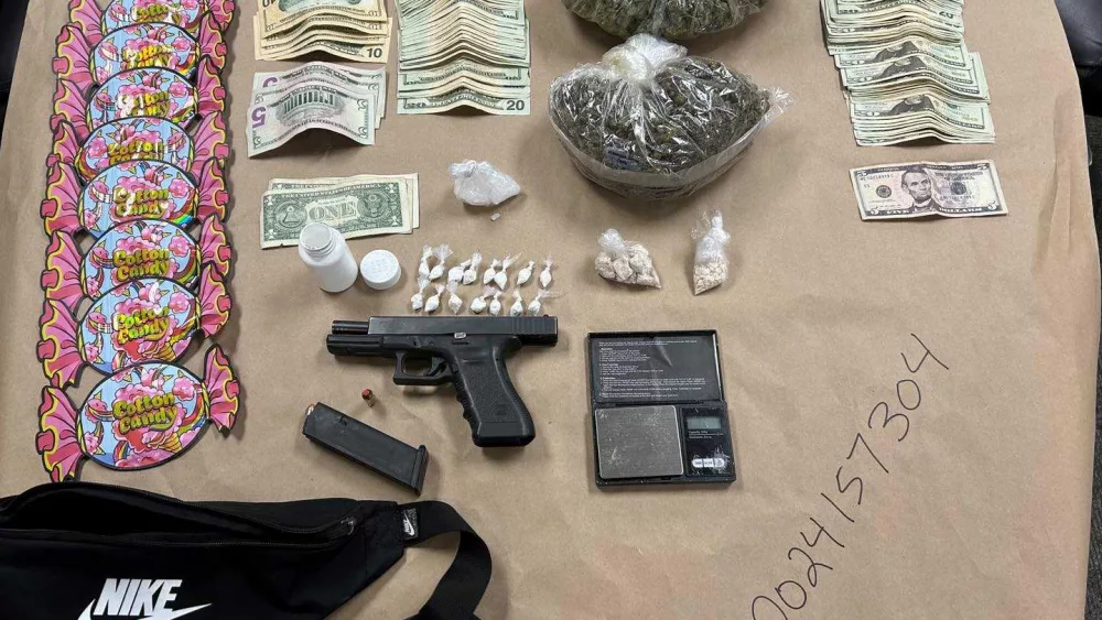 South Carolina crackdown: 8 accused of crime ring targeting outlet mall, Walmart; drugs, guns seized