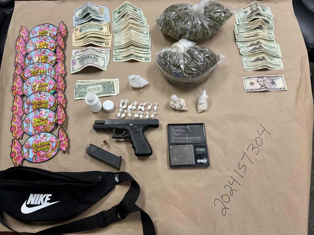 South Carolina crackdown: 8 accused of crime ring targeting outlet mall, Walmart; drugs, guns seized