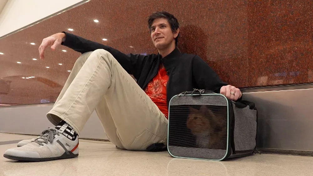 Miracle reunion: Cat missing for over a decade found 800 miles away in Georgia