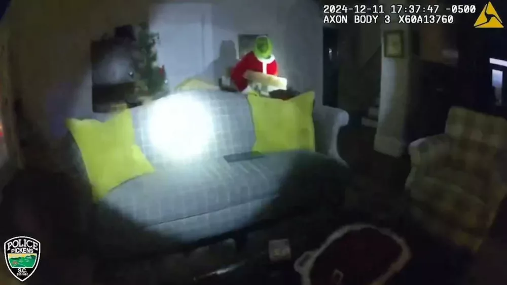 grinch-caught-675cb7a2c636f