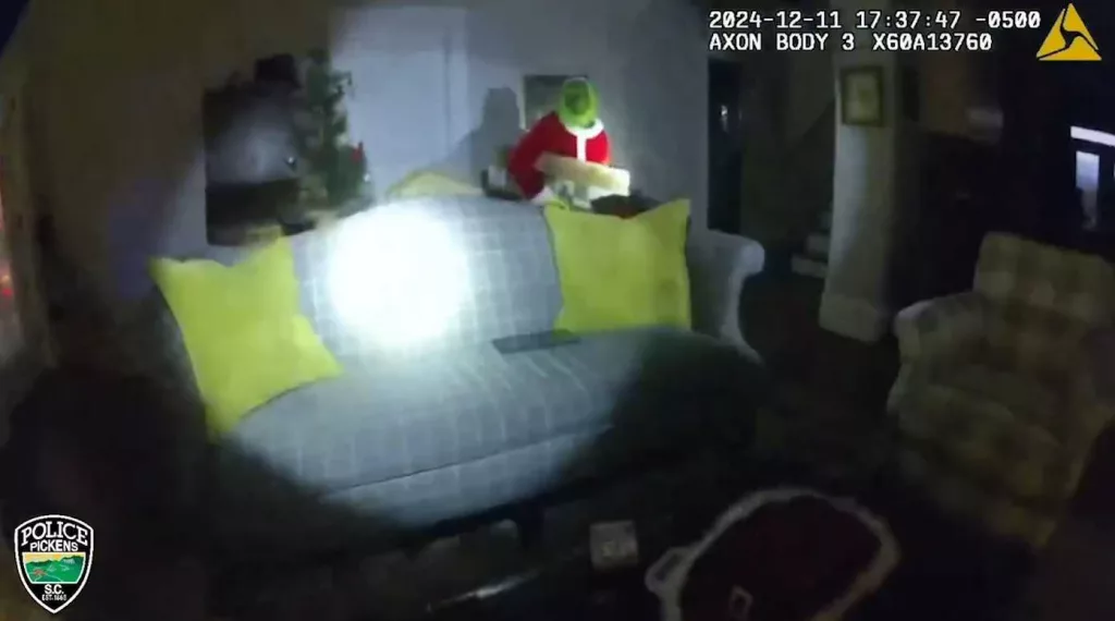 grinch-caught-675cb7a2c636f