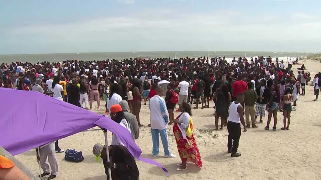 Orange crush 2025: Why Tybee's optimistic about it returning