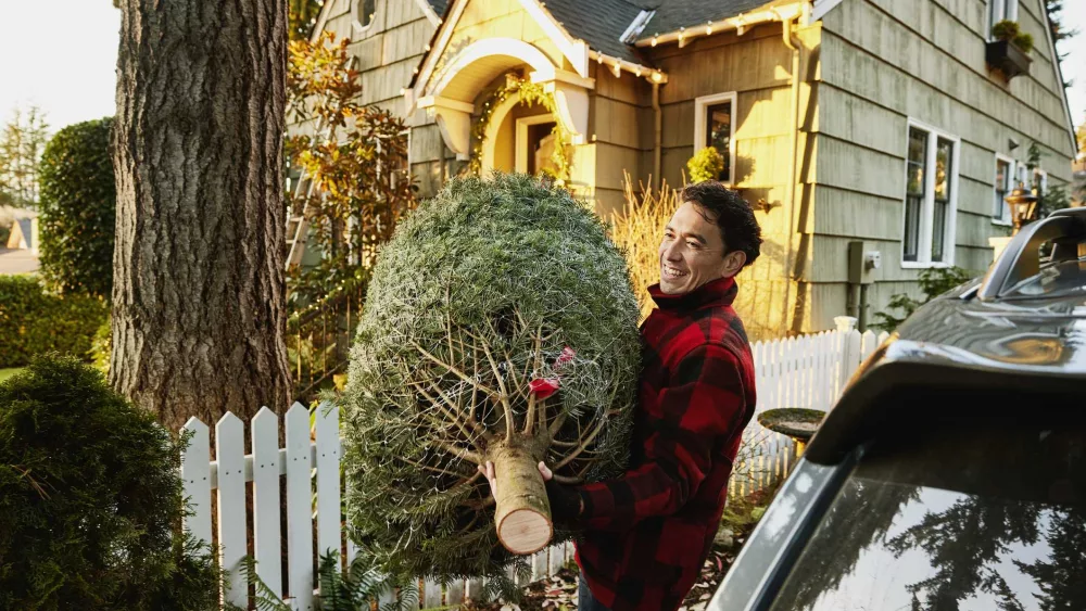 Deck the halls (extra carefully): These are the most common Christmas injuries