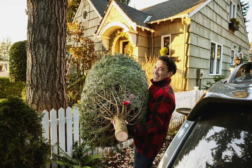 Deck the halls (extra carefully): These are the most common Christmas injuries