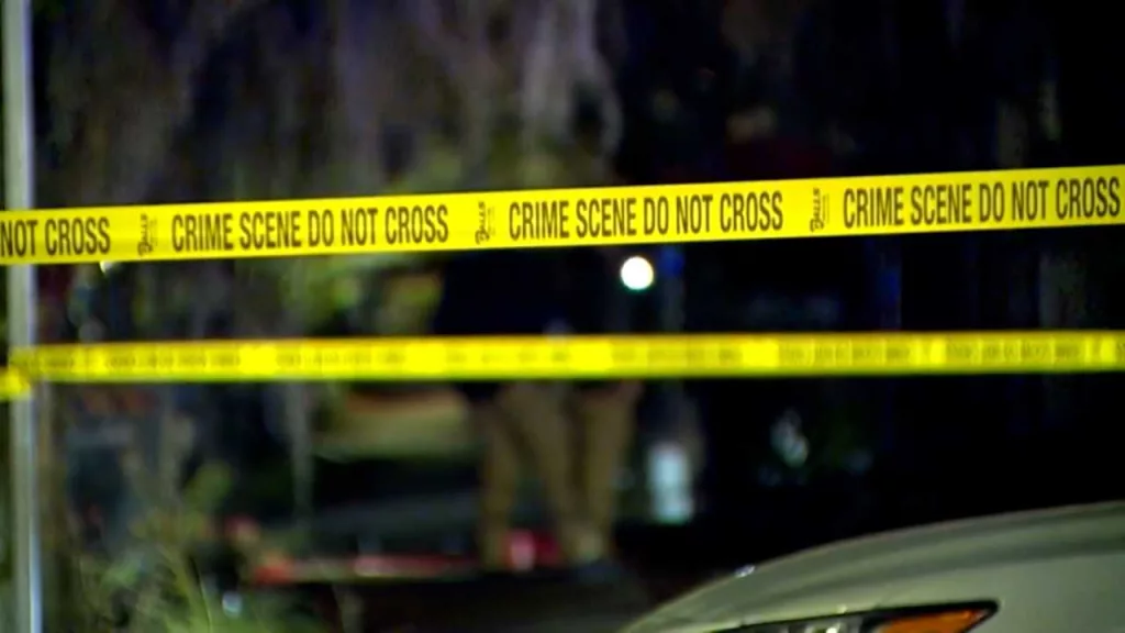 Hilton Head suspects rob, burn woman. Now, deputies are looking for them.