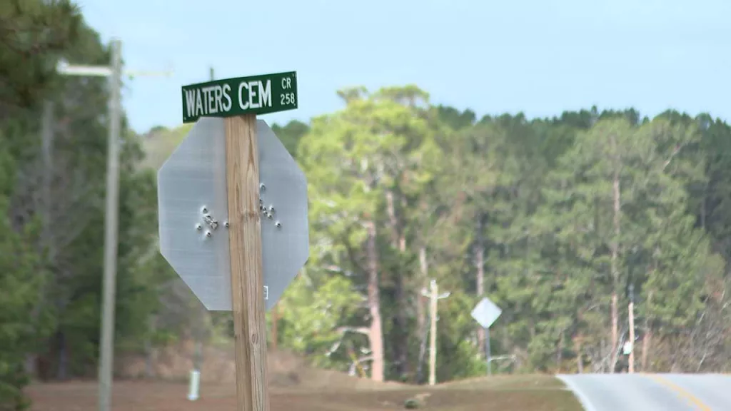 Teen accused of killing brother, injuring father in Bulloch County