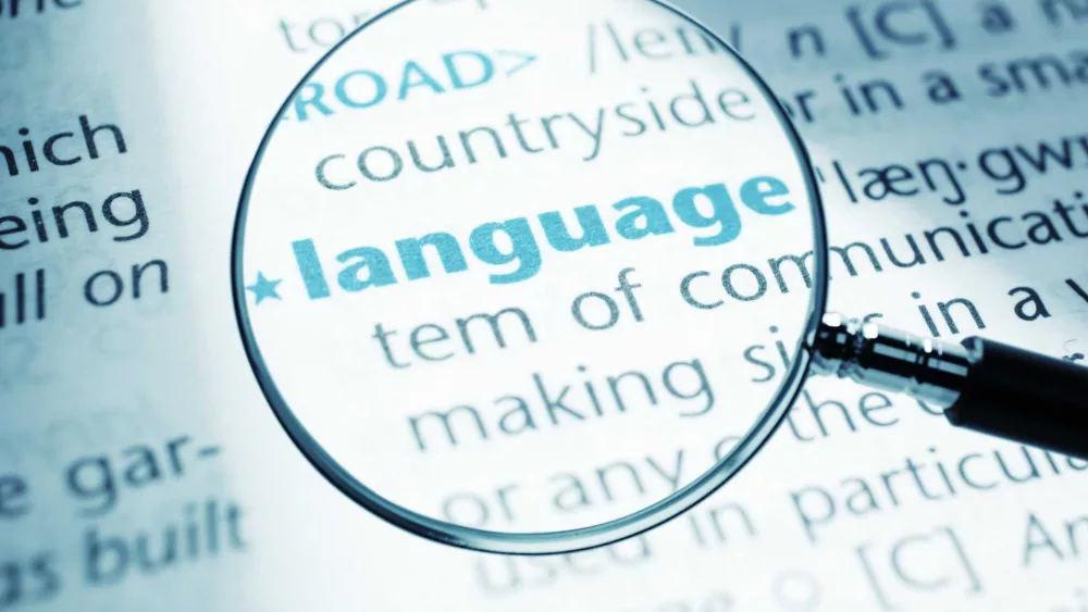 How the English language has changed in 2024