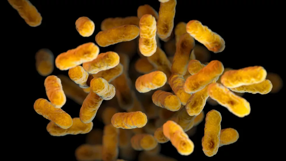 Whooping cough cases in the US are the highest they’ve been in a decade