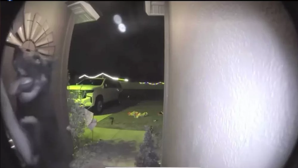 Missing dog returns to its Florida home by ringing doorbell