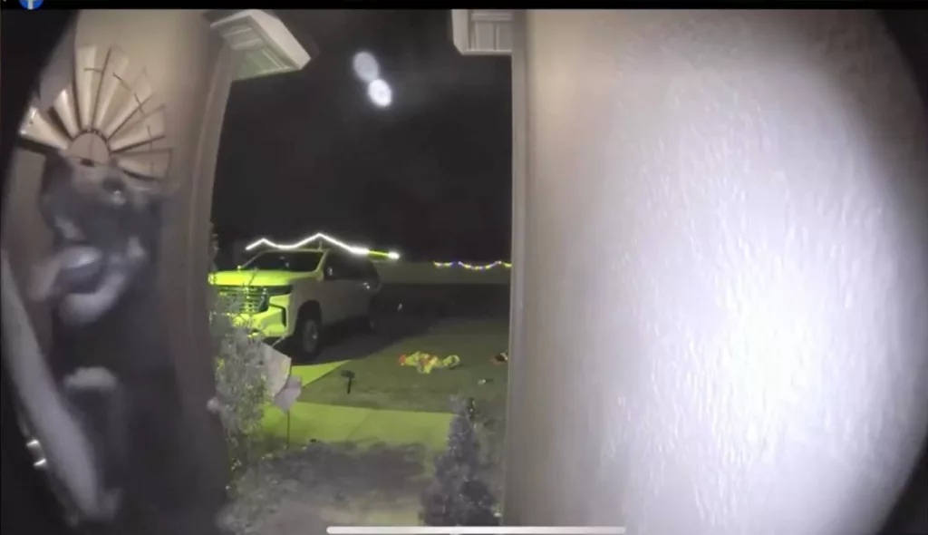 Missing dog returns to its Florida home by ringing doorbell