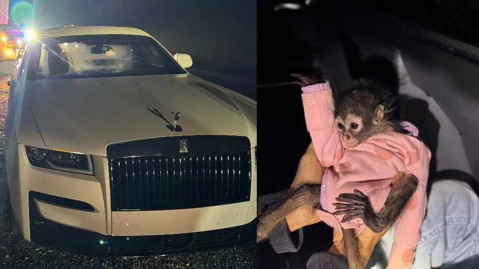 Rolls Royce driver arrested for DUI and possession of a monkey