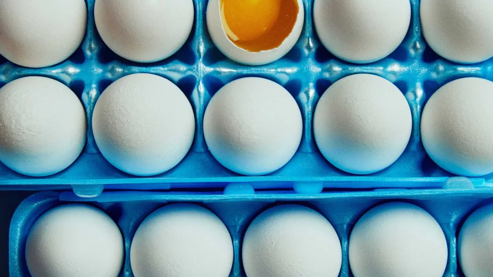 Can Bird Flu be transmitted through eggs, dairy, or poultry?