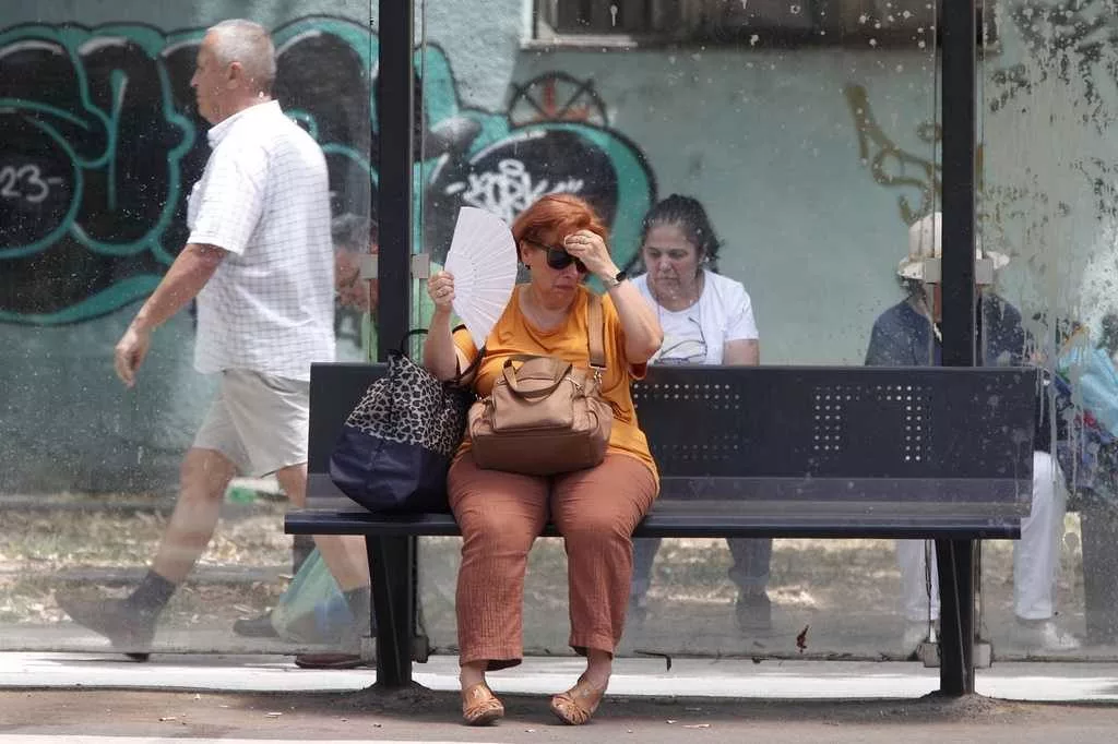 Earth recorded hottest year on record in 2024