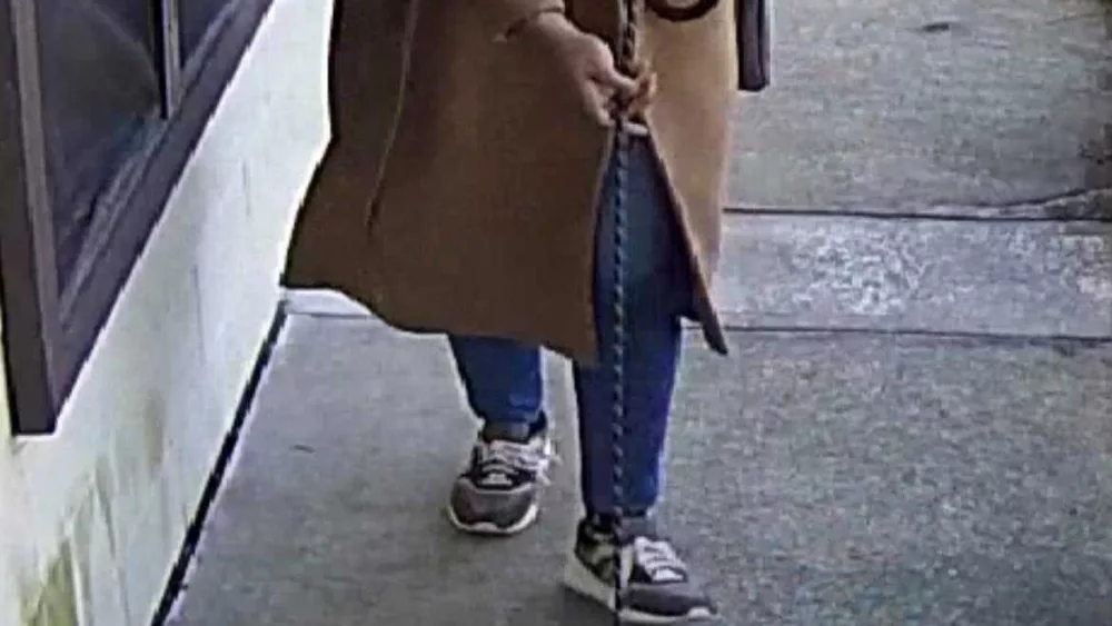 Effingham County deputies searching for woman who left dog tied up