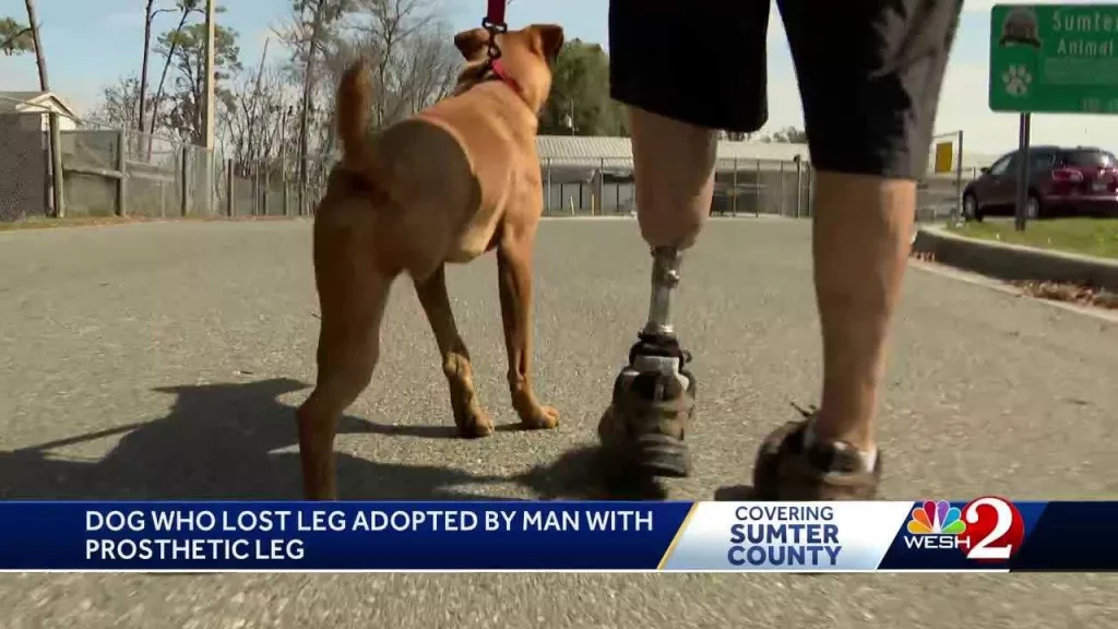 'He was mine and I'm his': Man with prosthetic leg adopts 3-legged dog