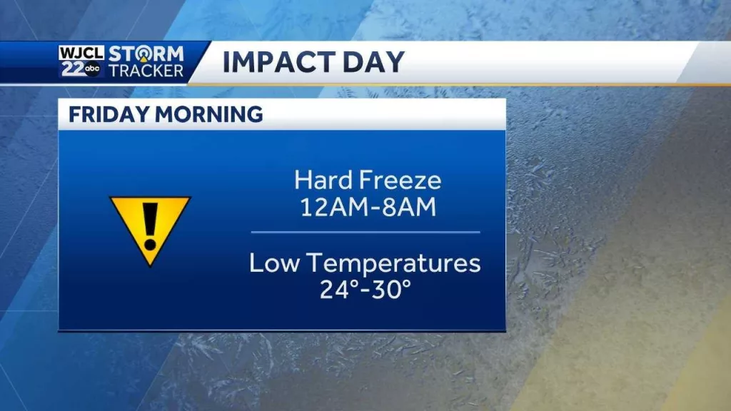 imapct-day-67b68950e0322