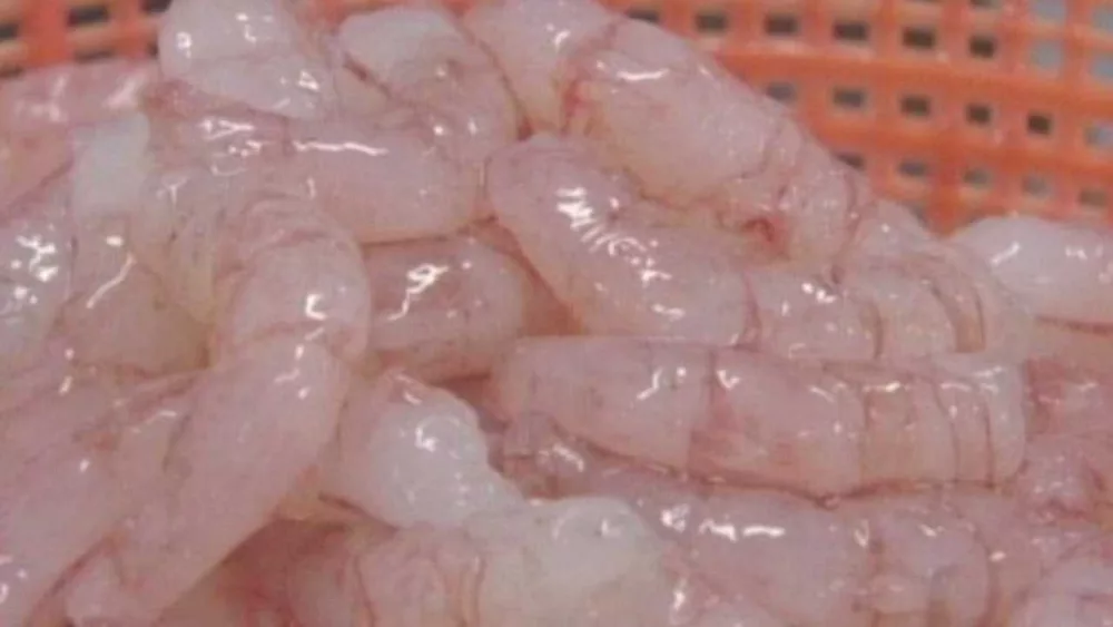 What’s in your seafood? Georgia lawmakers want you to know