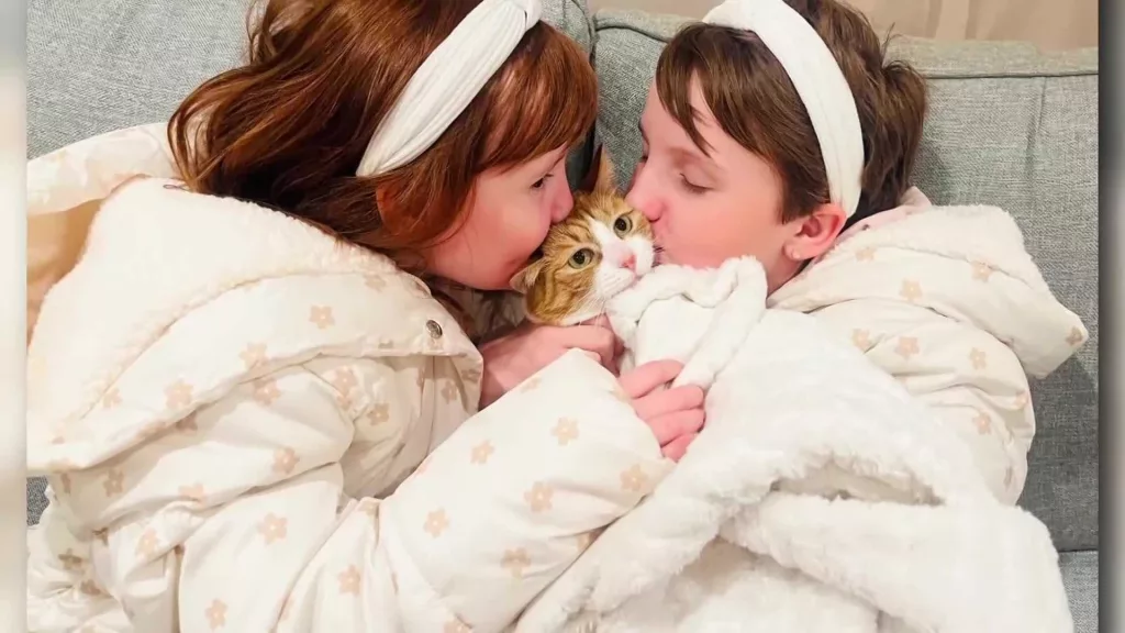 Cat survives being stuck for weeks inside sofa during move