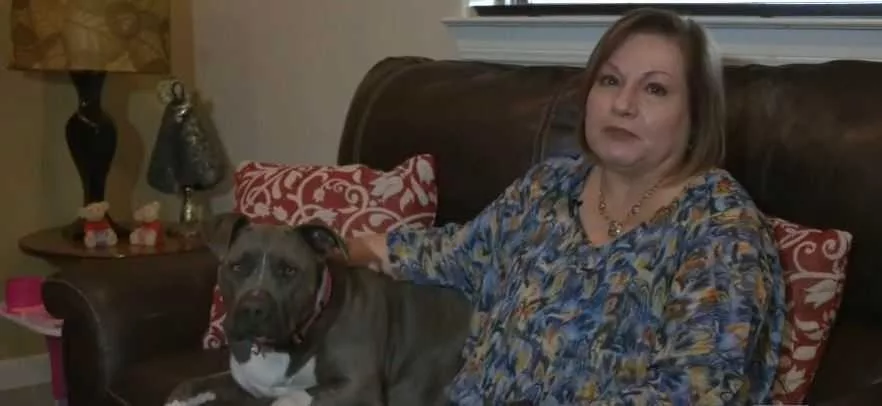 WATCH: Texas woman reunited with missing dog after nearly 2 years apart