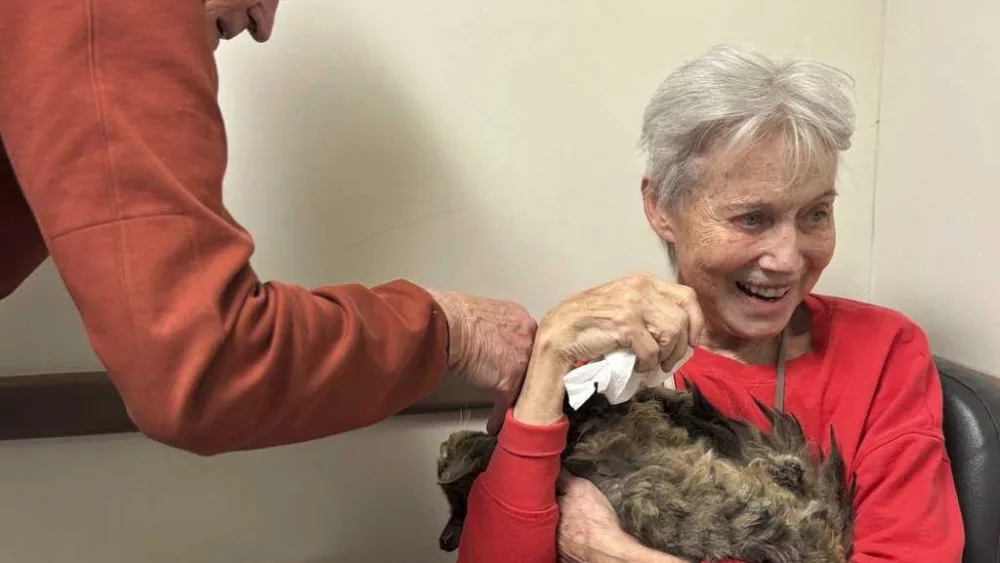 One cat's incredible reunion with its owner after the LA wildfires