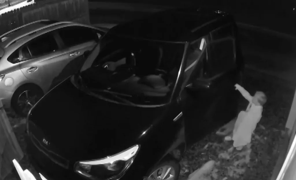 Little hero: Toddler braves fear of the dark to help great-grandma after fall