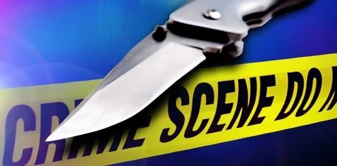 Savannah stabbing leaves a woman dead