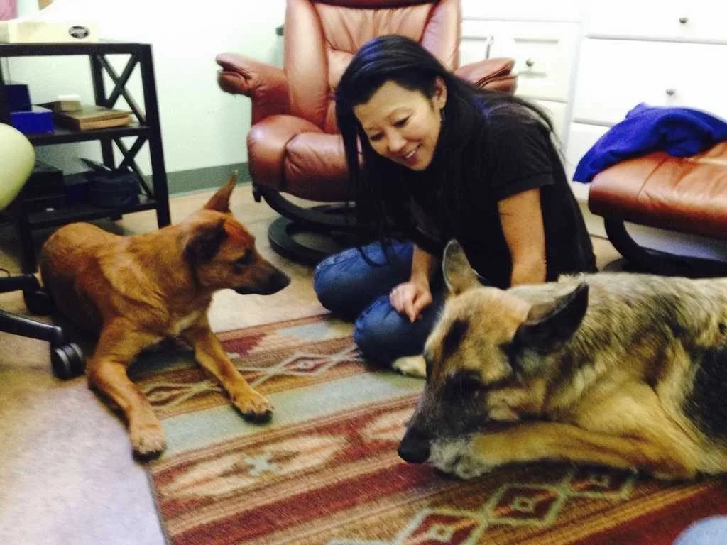 Gene Hackman and Betsy Arakawa's dog likely died of dehydration and starvation, report says