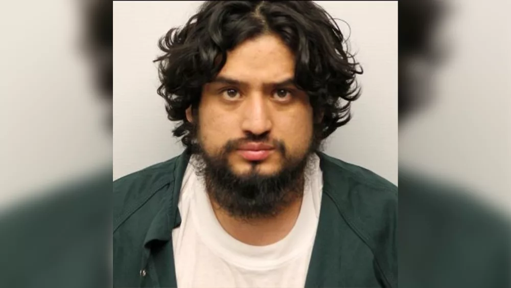 Police: Suspect in deadly Savannah stabbing killed 3 dogs, on ICE hold