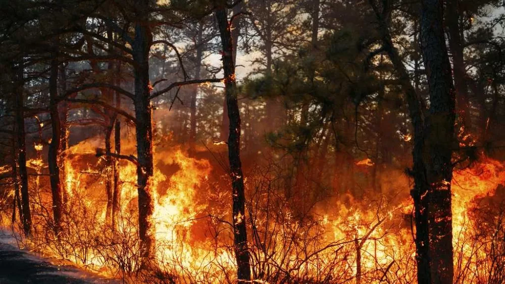 Firefighters in the Carolinas battle multiple wildfires as New Jersey crews contain forest blaze