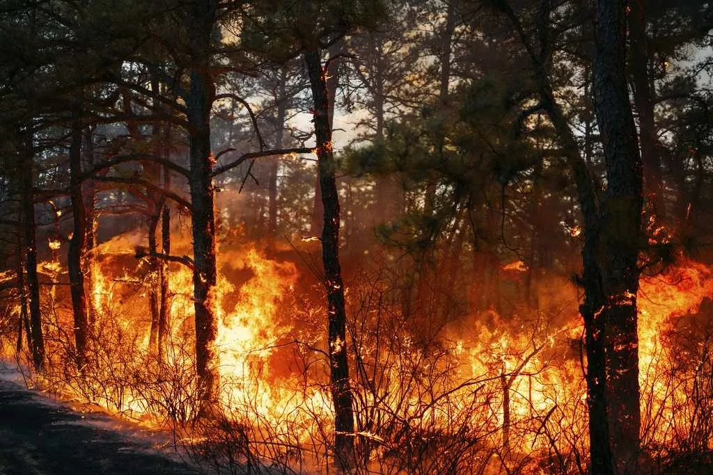 Firefighters in the Carolinas battle multiple wildfires as New Jersey crews contain forest blaze
