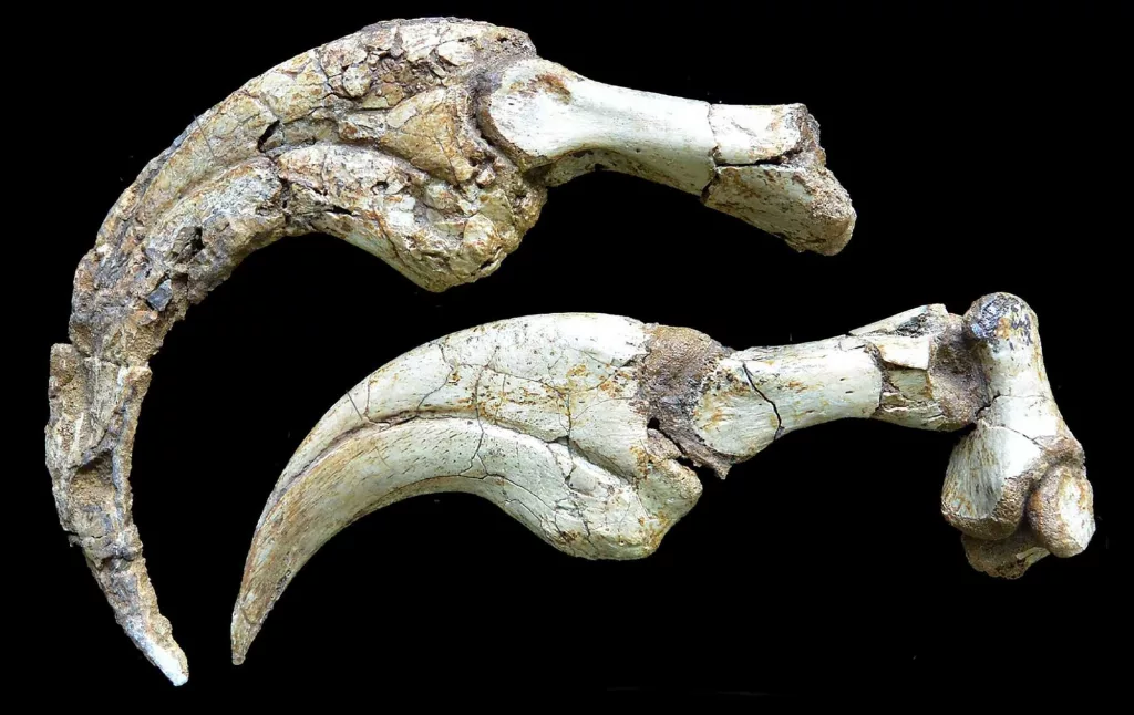 cnn-l19jb21wb25lbnrzl2ltywdll2luc3rhbmnlcy9jbthvamhjc2gwmdb4mzu2bw40cth5zwxs-l19jb21wb25lbnrzl2fydgljbguvaw5zdgfuy2vzl2ntog9pa3oxetawmjayzhbnmghhejz1mji-jpg-67e3567292ae3