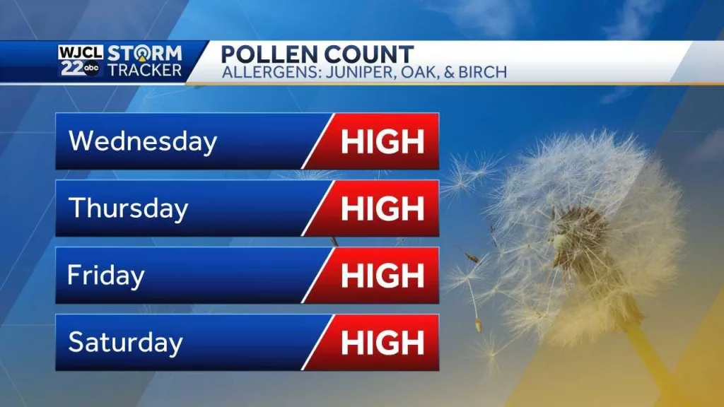 more-pollen-67e3619a667e1