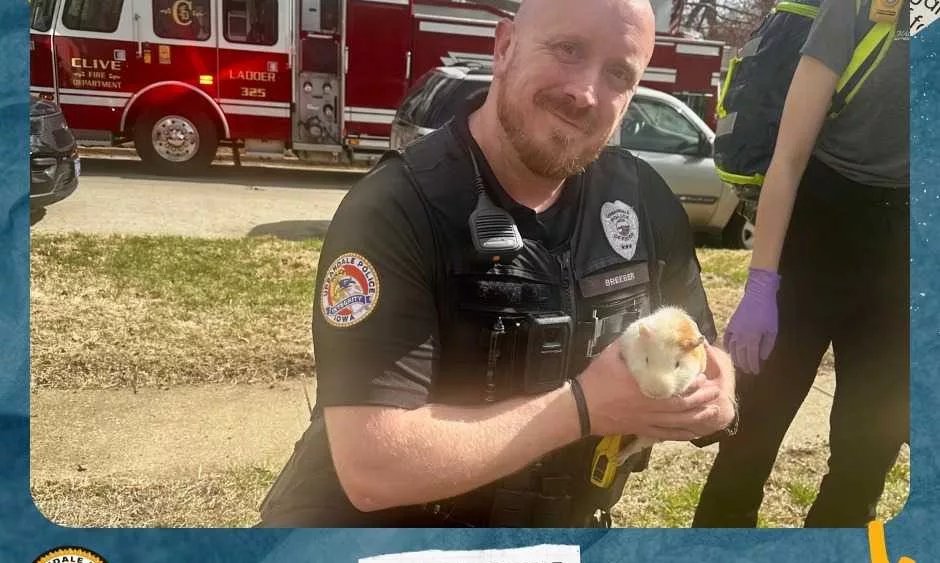 News We Love: Police officer revives guinea pigs with CPR