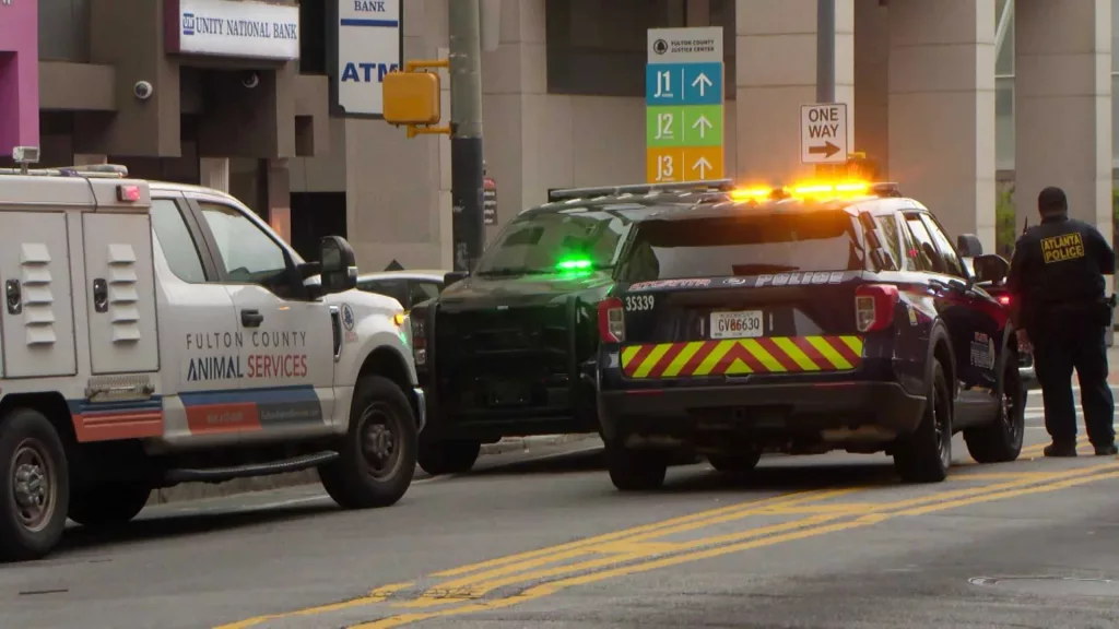 Mystery in Georgia: Horse found dead on busy sidewalk