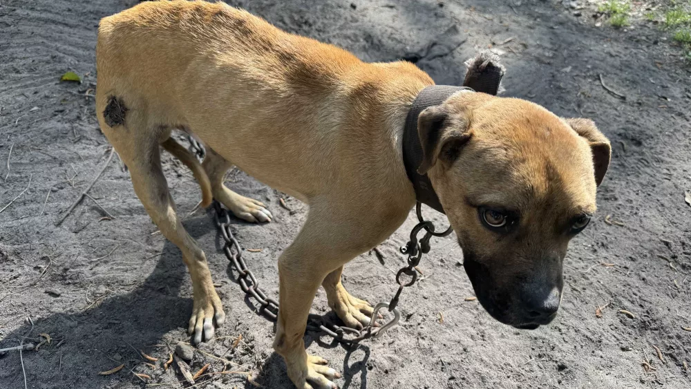 img-1258-67f4501a512c7