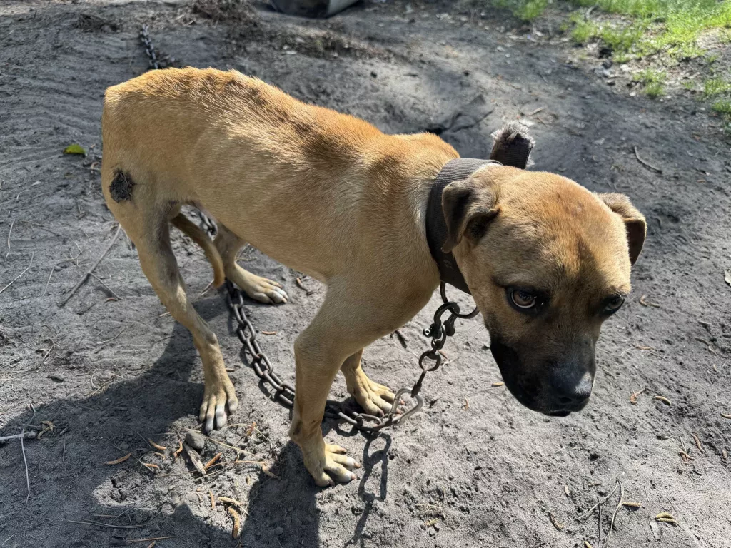 img-1258-67f4501a512c7