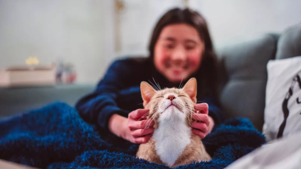 Pets could boost wellbeing as much as a wife or husband, study suggests