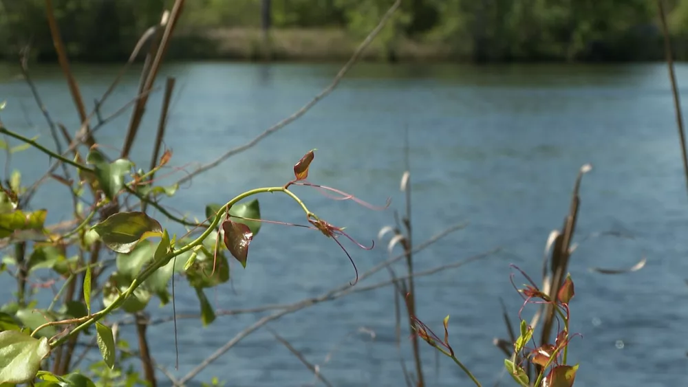 2 missing teenage boaters found safely in Bulloch County