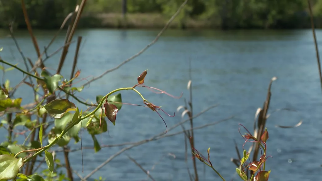 2 missing teenage boaters found safely in Bulloch County
