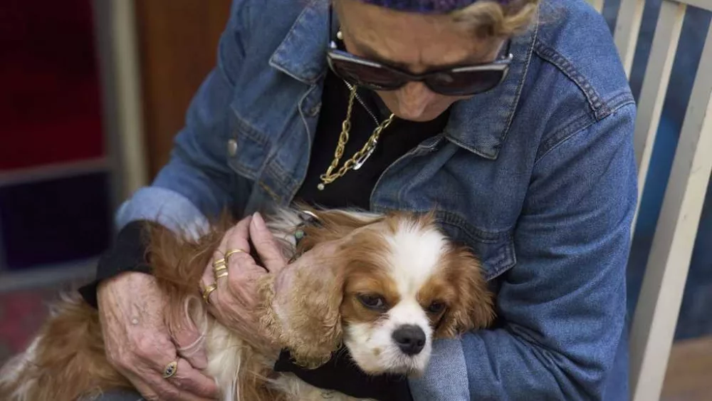 Dog reunites with Israeli family after disappearing for 18 months in Gaza