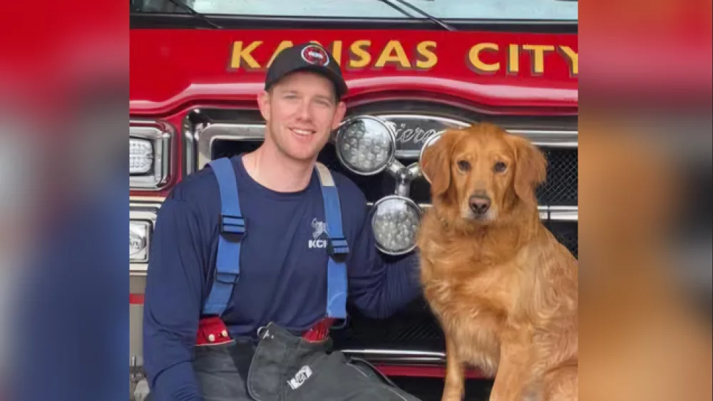 Firefighter-paramedic dies after being stabbed; woman charged