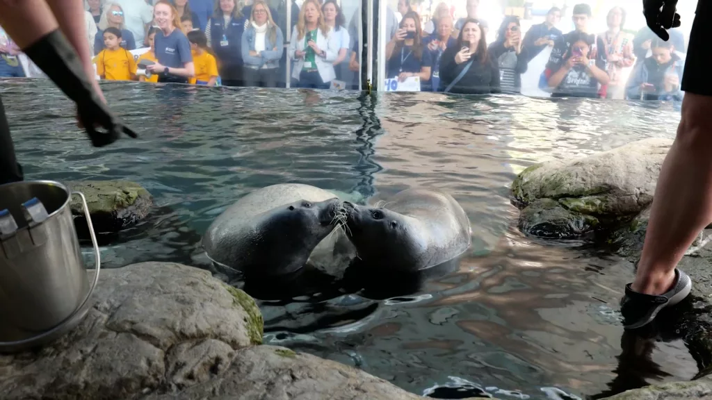 News We Love: Seals celebrate 40th birthdays at aquarium