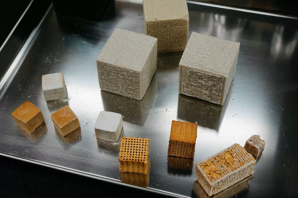 Fungi could be used to build homes one day, researchers say