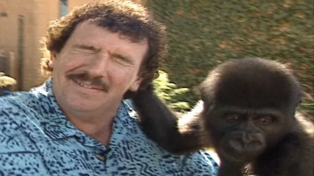 Before the internet argued about 100 men vs one gorilla, this guy actually faced off with one… in NFL picks